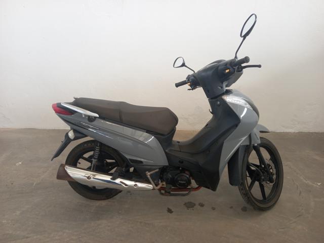 SHINERAY - 50Q 2025 / 2025